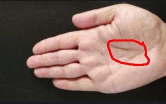 手掌心凹陷是否真的代表聚财？手掌厚实红润意味着什么？（图文+