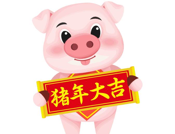 2020年农历五月属猪人的运势-生肖猪-亥猪-风水八字同城网