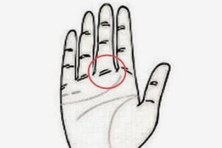 什么是手掌富贵线？手指根部有明显的节痕意味着什么？（图文+视