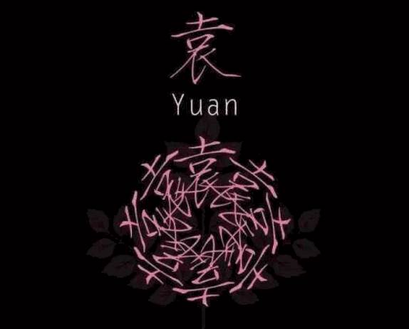 姓氏袁的起源-取名-风水八字同城网