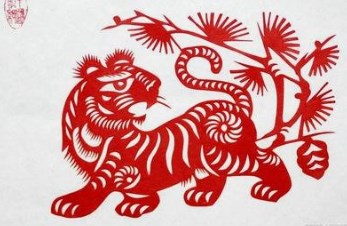为什么生肖学认为运势与心态有关？生肖猪是如何通过积极心态赢得信任的？（图文+视频）