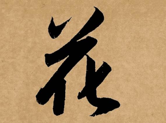 姓氏花的起源-取名-风水八字同城网