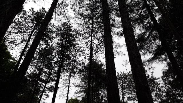 河北风水大师:带你了解大玄空风水的九大秘诀-河北风水大师-风水八字同城网