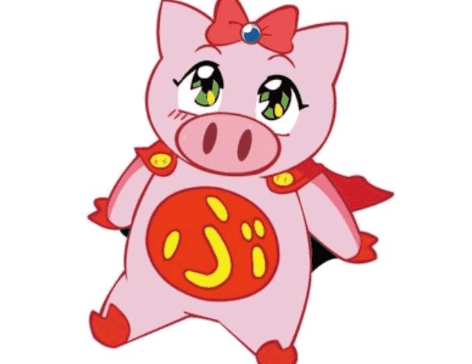 2020年农历正月属猪人的运势-生肖猪-亥猪-风水八字同城网