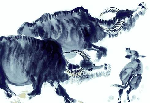 牛是怎么排进十二生肖的? 生肖牛的传说-生肖牛-风水八字同城