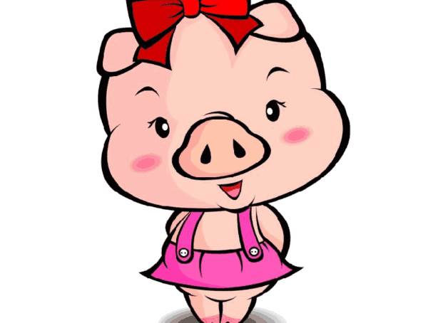 2020年农历二月属猪人的运势-生肖猪-亥猪-风水八字同城网