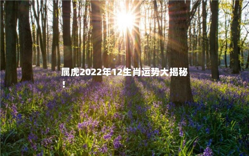 属虎2022年12生肖运势大揭秘！