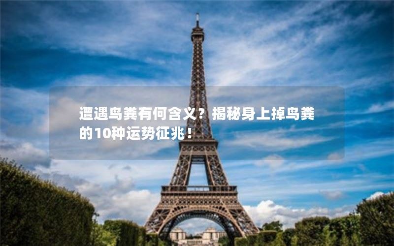 遭遇鸟粪的含义及10种运势征兆