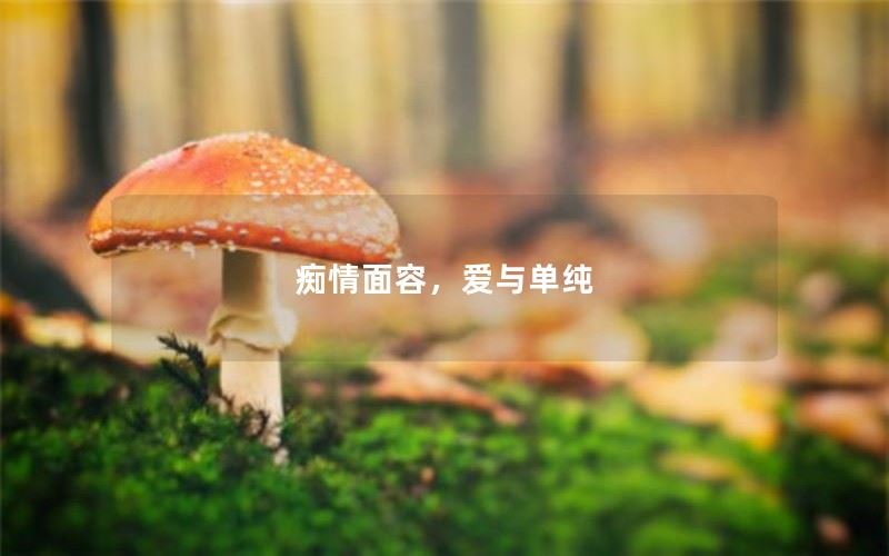 痴情面容，爱与单纯