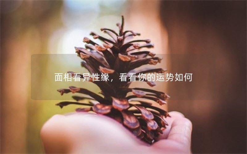 面相看异性缘，看看你的运势如何