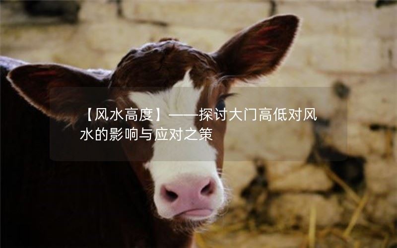 风水高度——探讨大门高低对风水的影响与应对之策