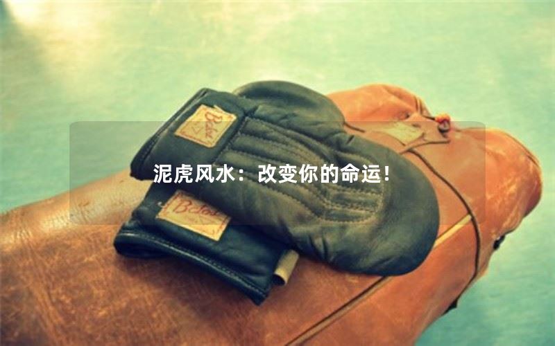 泥虎风水：改变你的命运！