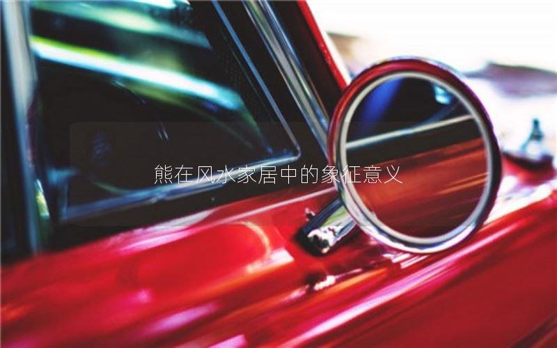 熊在风水家居中的象征意义