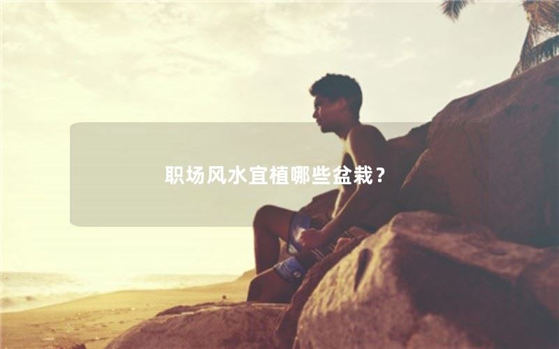 职场风水宜植哪些盆栽？