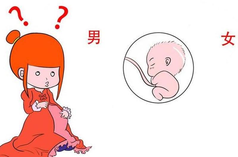 独家揭秘：孕妈妈如何算命宝宝性别