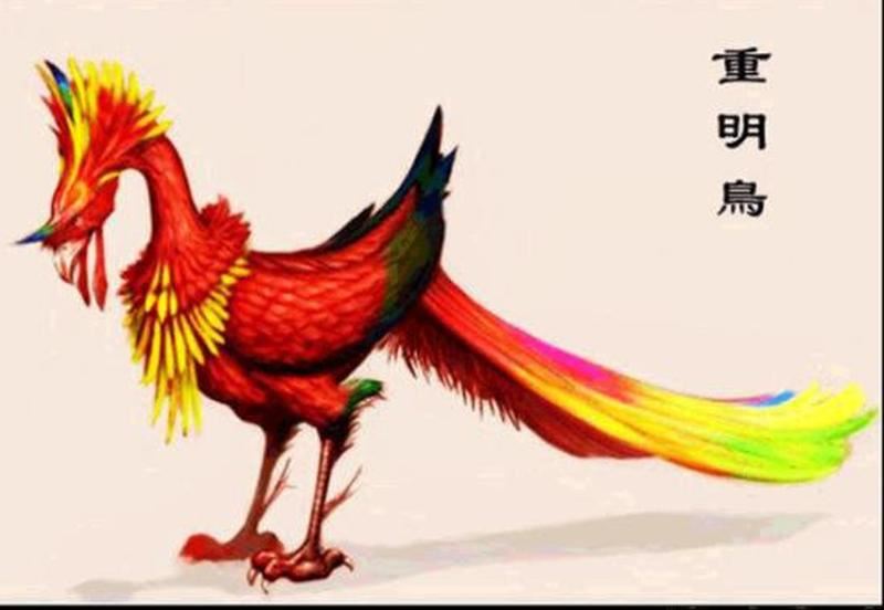 黄雀算命：探秘传统文化中的预测神鸟
