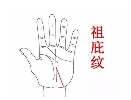 有富贵命的手相 有富贵命的手相