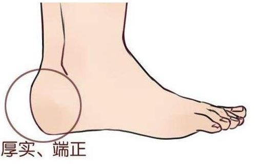 脚跟很厚实的人 脚跟很厚实的人