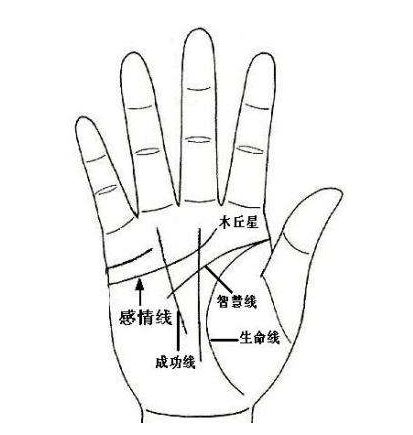旺偏财的手相 旺偏财的手相