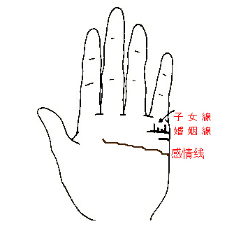 从子女线看胎儿的性别 从子女线看胎儿的性别