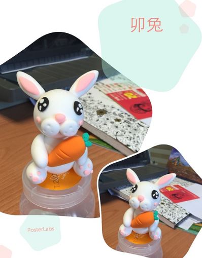 属兔之人 属兔之人