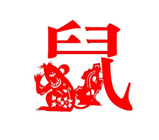 鼠 鼠