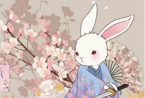 兔 兔