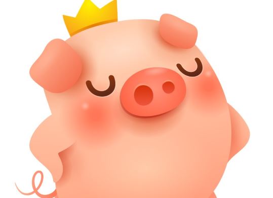 生肖猪:开始关注自我 生肖猪:开始关注自我