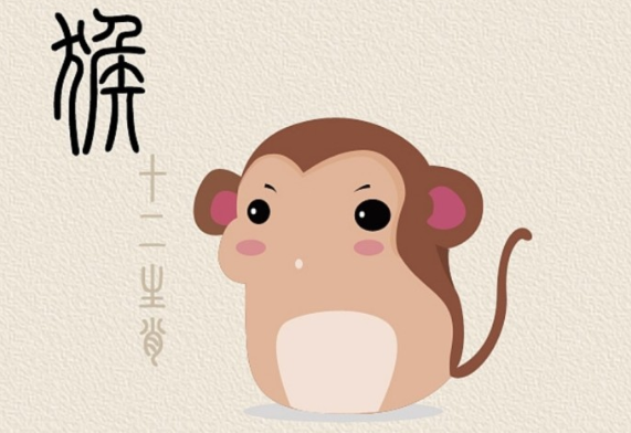 猴 猴