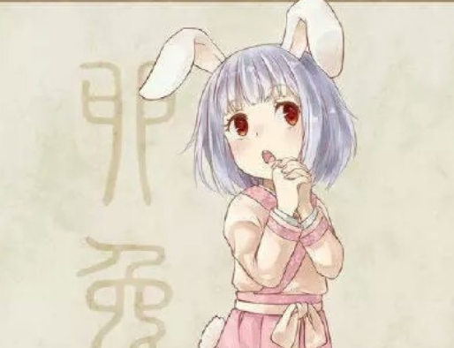 第一名:属兔女 第一名:属兔女