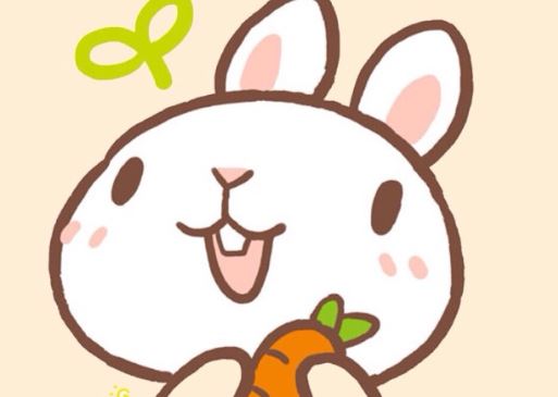 生肖兔 生肖兔