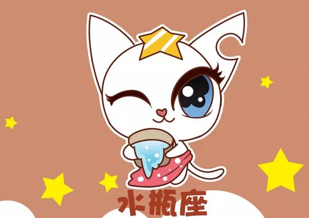 水瓶座 水瓶座