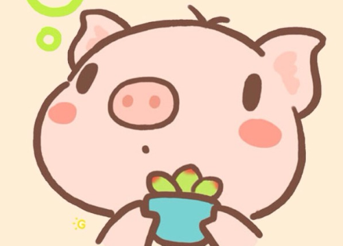 生肖猪