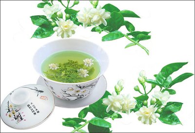 茉莉花茶 茉莉花茶