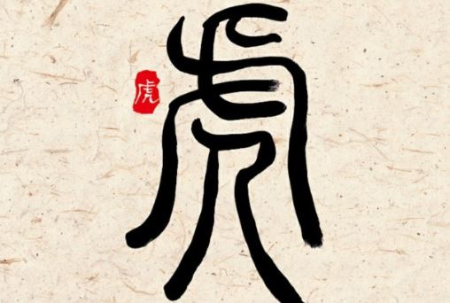 属虎男: 属虎男: