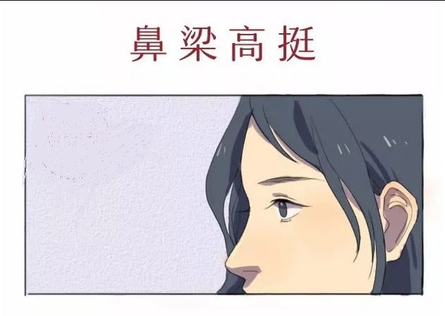 鼻梁高挺 鼻梁高挺
