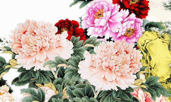 牡丹花字画 牡丹花字画