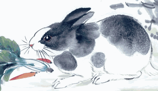  生肖兔的传说