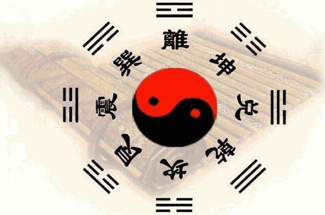 5. 生肖代表的是自己 5. 生肖代表的是自己