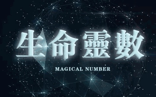 生命灵数 生命灵数