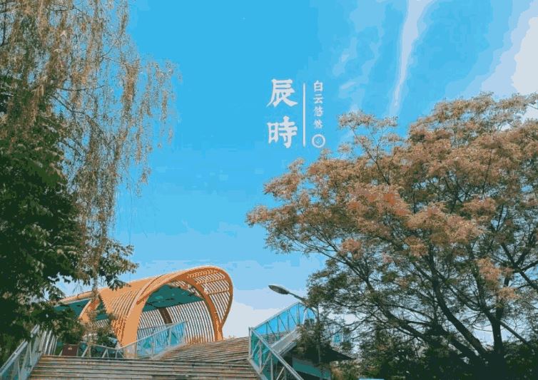 辰时内出生的人 辰时内出生的人