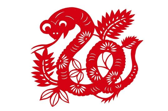 属蛇之人 属蛇之人