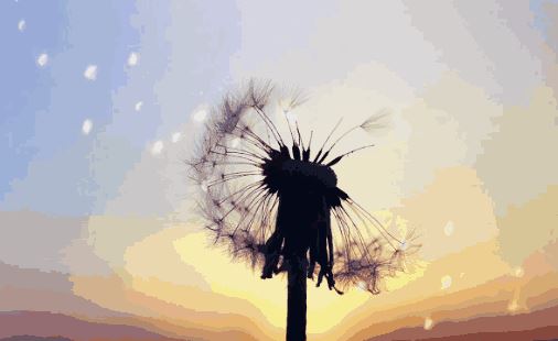 辍学