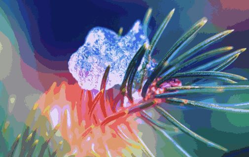 投资失误
