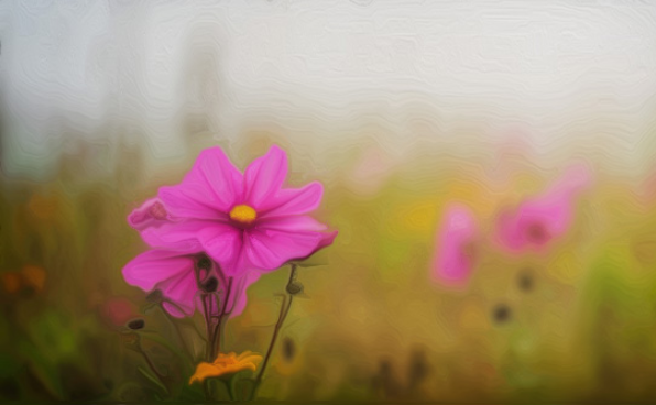 1616385148371013.png image.png