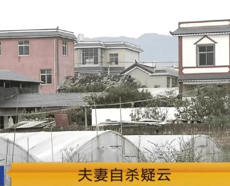 妻子自杀 妻子自杀