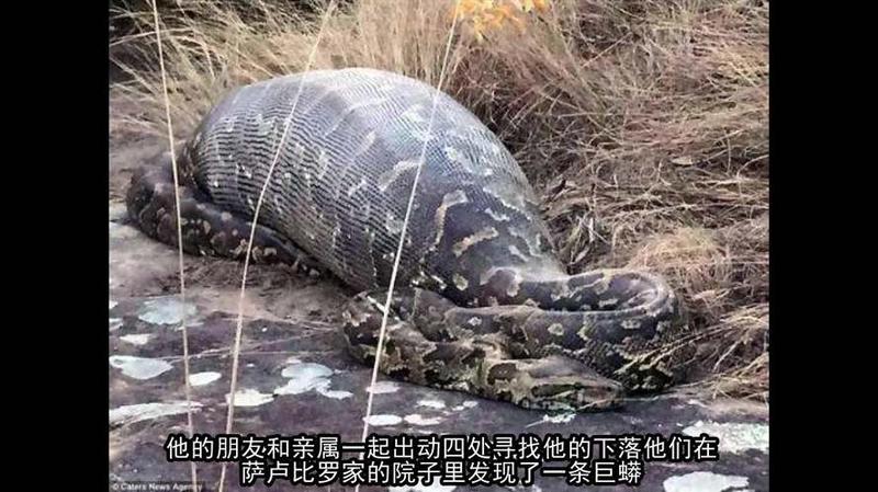 蟒蛇吃人_1 蟒蛇吃人_1